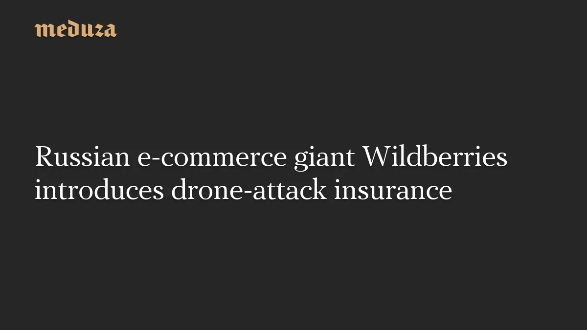 Wildberries launches insurance for sellers: what you need to know